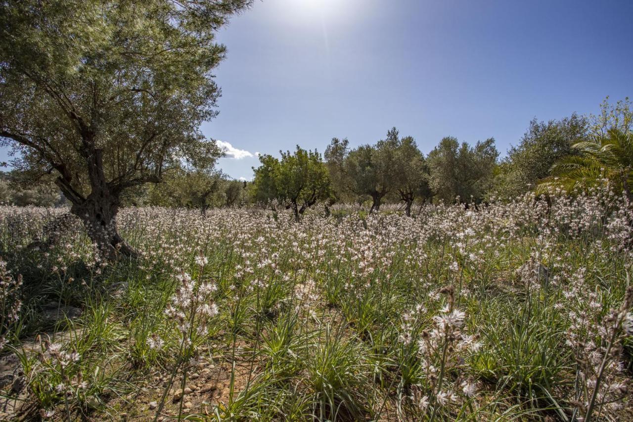 Finca Barons Буньола Экстерьер фото