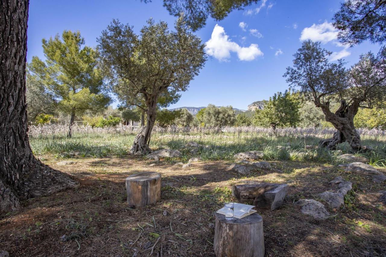 Finca Barons Буньола Экстерьер фото